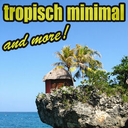 Album cover of Tropisch Minimal & More