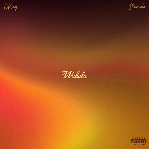 CKay - WAHALA (FEAT. OLAMIDE): lyrics and songs | Deezer