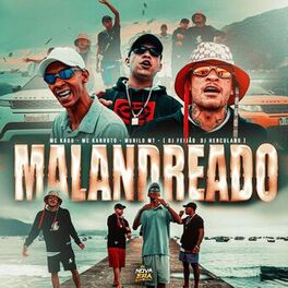 Album cover of Malandreado