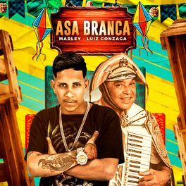 Album cover of Asa Branca (Brega Funk)