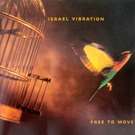 Album cover of Free to Move
