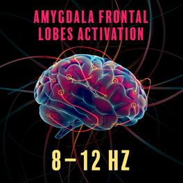 Album cover of Amygdala Frontal Lobes Activation 8–12 Hz: Slow Frequency for Emotional Regulation, Heal PTSD Brain Damage, Healing Nervous System