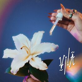 Album cover of Vilã (Eu Sei) (feat. Vhoor)