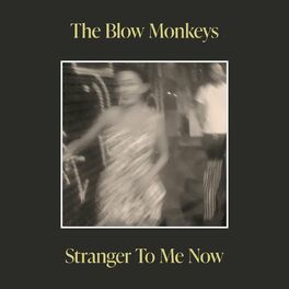 Album cover of Stranger To Me Now