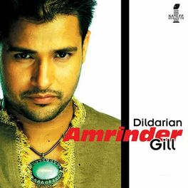 Album cover of Dildarian