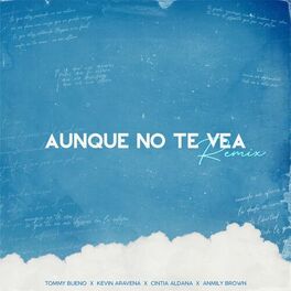 Album cover of Aunque No Te Vea (Remix)