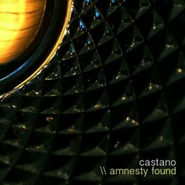 Album cover of Amnesty Found