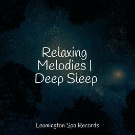 Album cover of Relaxing Melodies | Deep Sleep