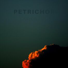 Album cover of Petrichor