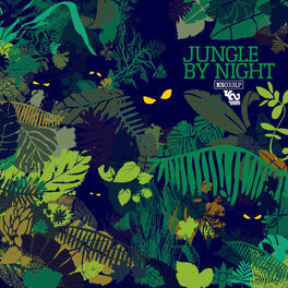 Album cover of Jungle By Night