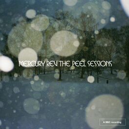 Album cover of The Complete Peel Sessions