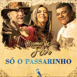 Album cover of Só o Passarinho