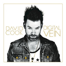 Album cover of Digital Vein