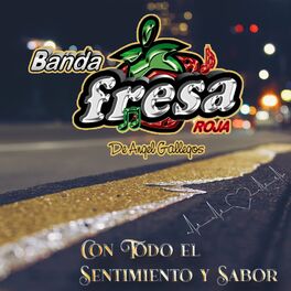 Album cover of Con Todo el Sentimiento y Sabor