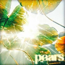 Album cover of Pears