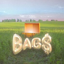 Album cover of BAG$