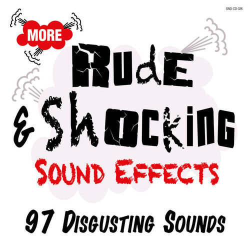 sr-fields-more-rude-and-shocking-sound-effects-letras-de-canciones