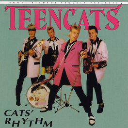 Album cover of Cats Rhythm