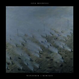 Album cover of Wanderer Remixes