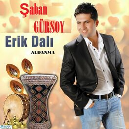 Album cover of Erik Dalı / Aldanma