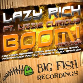 Album cover of Boom Remixes