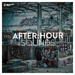 Album cover of After:Hour Sounds, Vol. 17