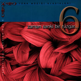 Album cover of Zaman Sanki Bir Rüzgar 6