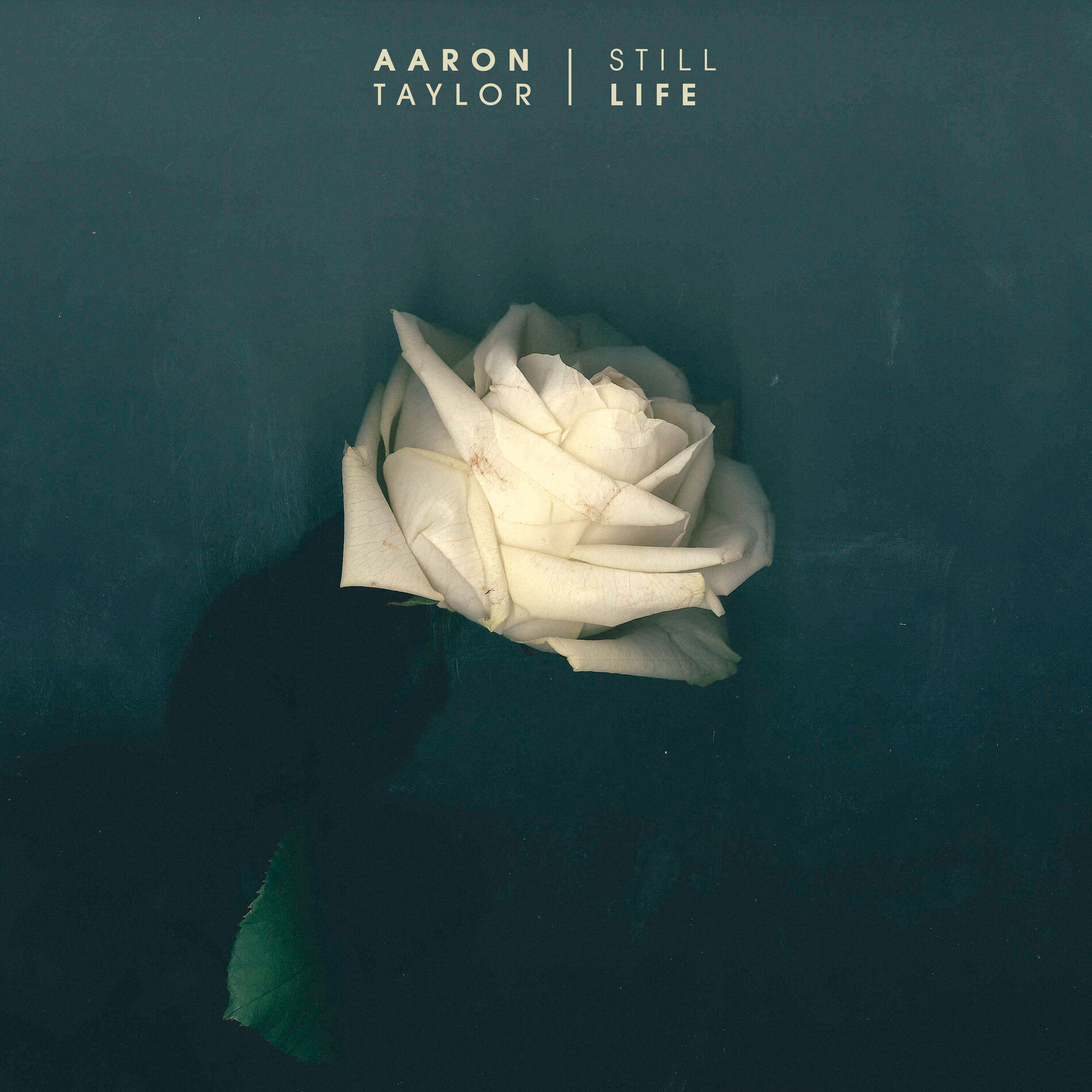 Aaron Taylor: albums, songs, playlists | Listen on Deezer