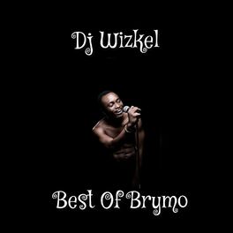 Album cover of Best of Brymo