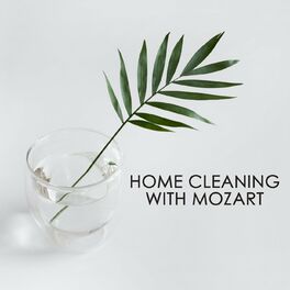 Album cover of Home cleaning with Mozart