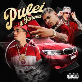 Album cover of Pulei a Janela