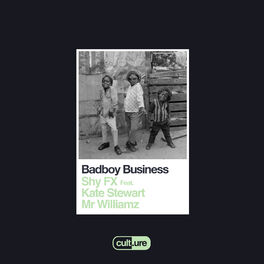 Album cover of Badboy Business (feat. Kate Stewart and Mr Williamz)