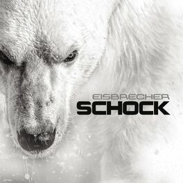 Album cover of Schock