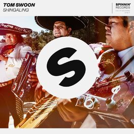 Album cover of Shingaling