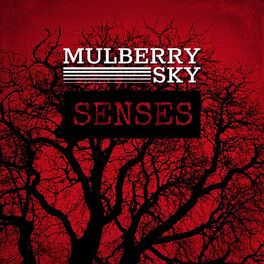 Album cover of Senses