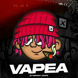 Album cover of Vapea