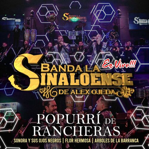 Banda la Sinaloense de Alex Ojeda - Popurrí de Rancheras: Sonora y sus ojos  negros / Flor hermosa / Árboles de la barranca (En Vivo): letras de  canciones | Deezer