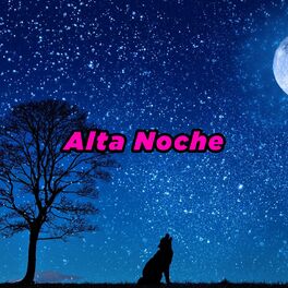 Album cover of Alta Noche