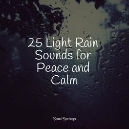 Album cover of 25 Light Rain Sounds for Peace and Calm