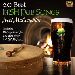 Album cover of 20 Best Irish Pub Songs
