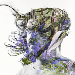 Album cover of Ribbons