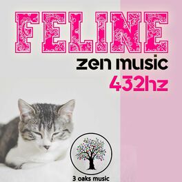 Album cover of Feline 432hz
