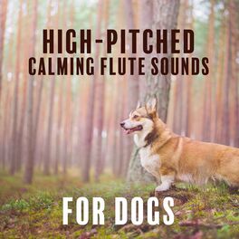 are high pitched sounds bad for dogs