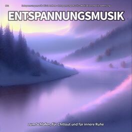 Album cover of #01 Entspannungsmusik zum Schlafen, für Chillout und für innere Ruhe