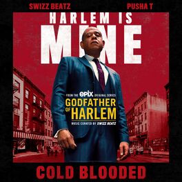 Album cover of Cold Blooded (feat. Swizz Beatz & Pusha T)