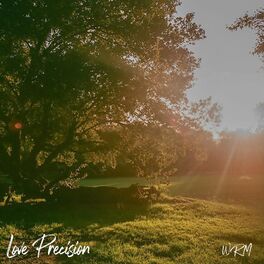 Album cover of Love Precision