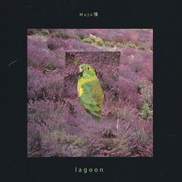 Album cover of Lagoon