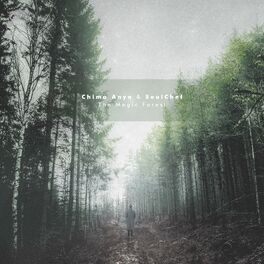 Album cover of The Magic Forest