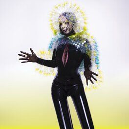 Album cover of Vulnicura