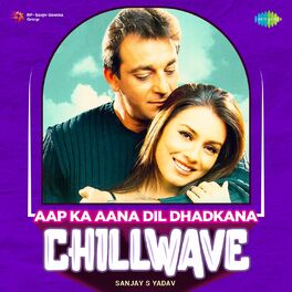 Album cover of Aap Ka Aana Dil Dhadkana (Chillwave)